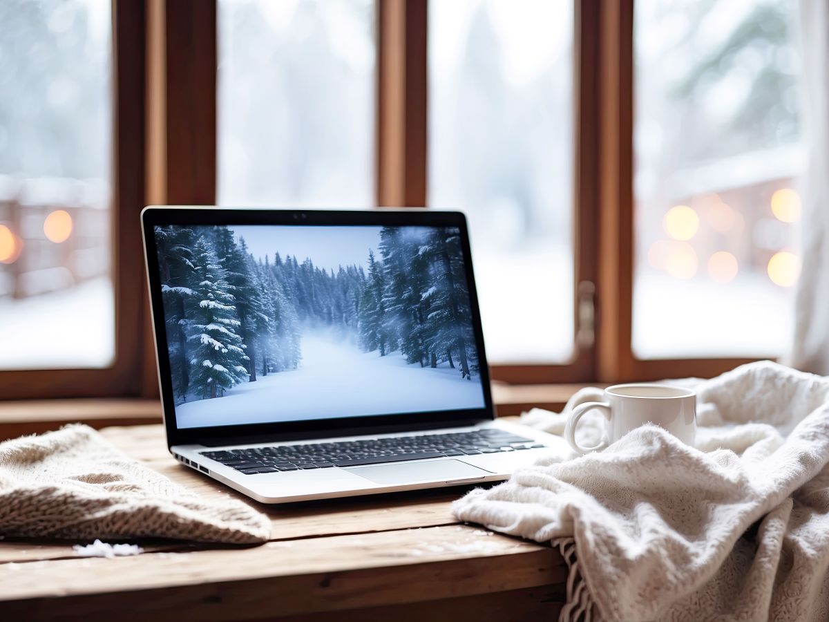 A One-Hour Winter… and Some Unexpected&nbsp;Houseguests